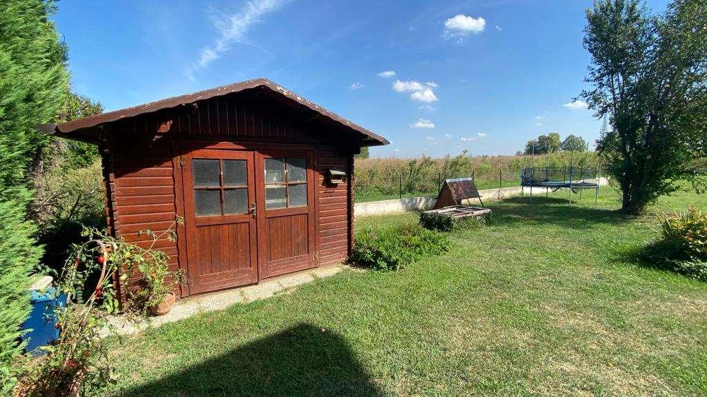 immagine annuncio 4 di 7