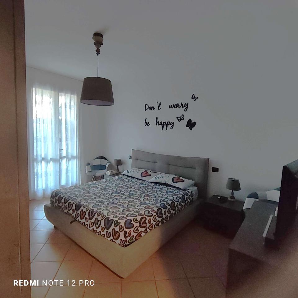 immagine annuncio 6 di 14