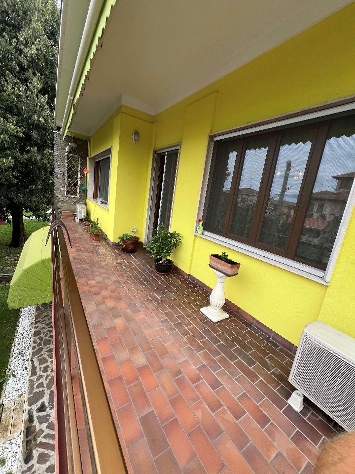 immagine annuncio 11 di 14