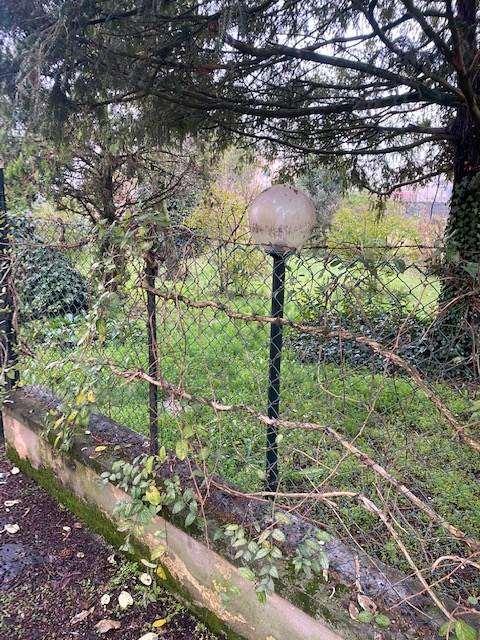 immagine annuncio 6 di 9