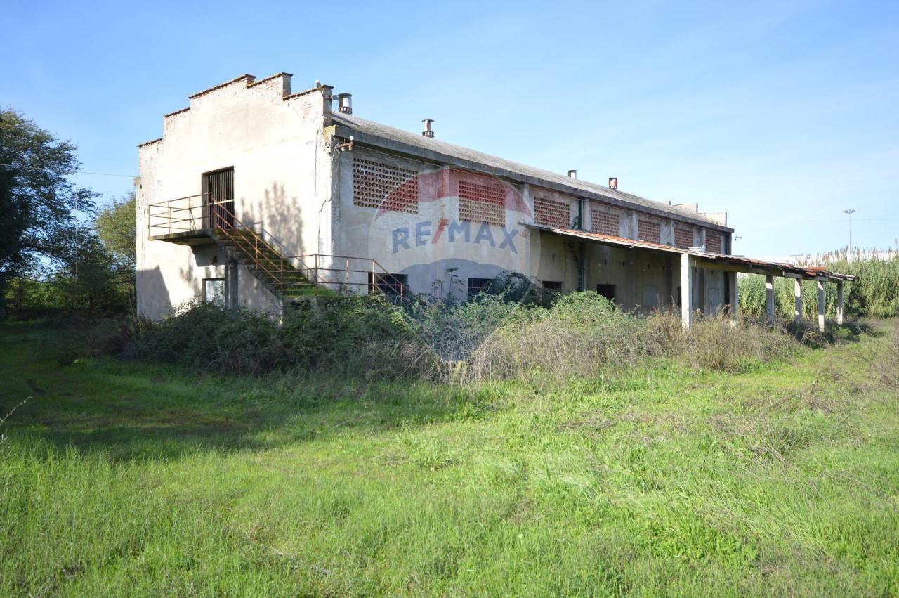 Azienda agricola in C.da Parco del Principe, Spezzano Albanese - Foto 1
