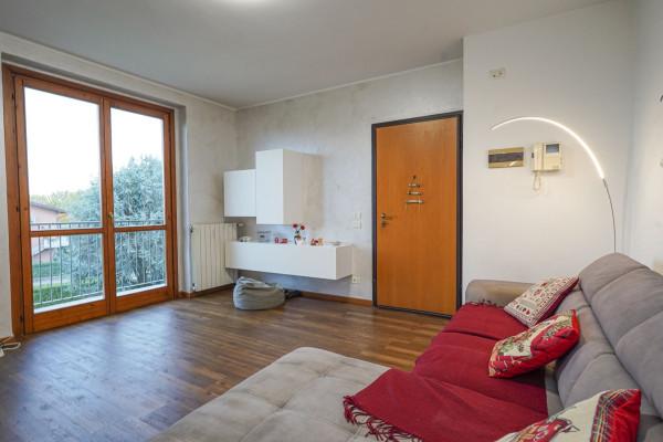 immagine annuncio 12 di 15