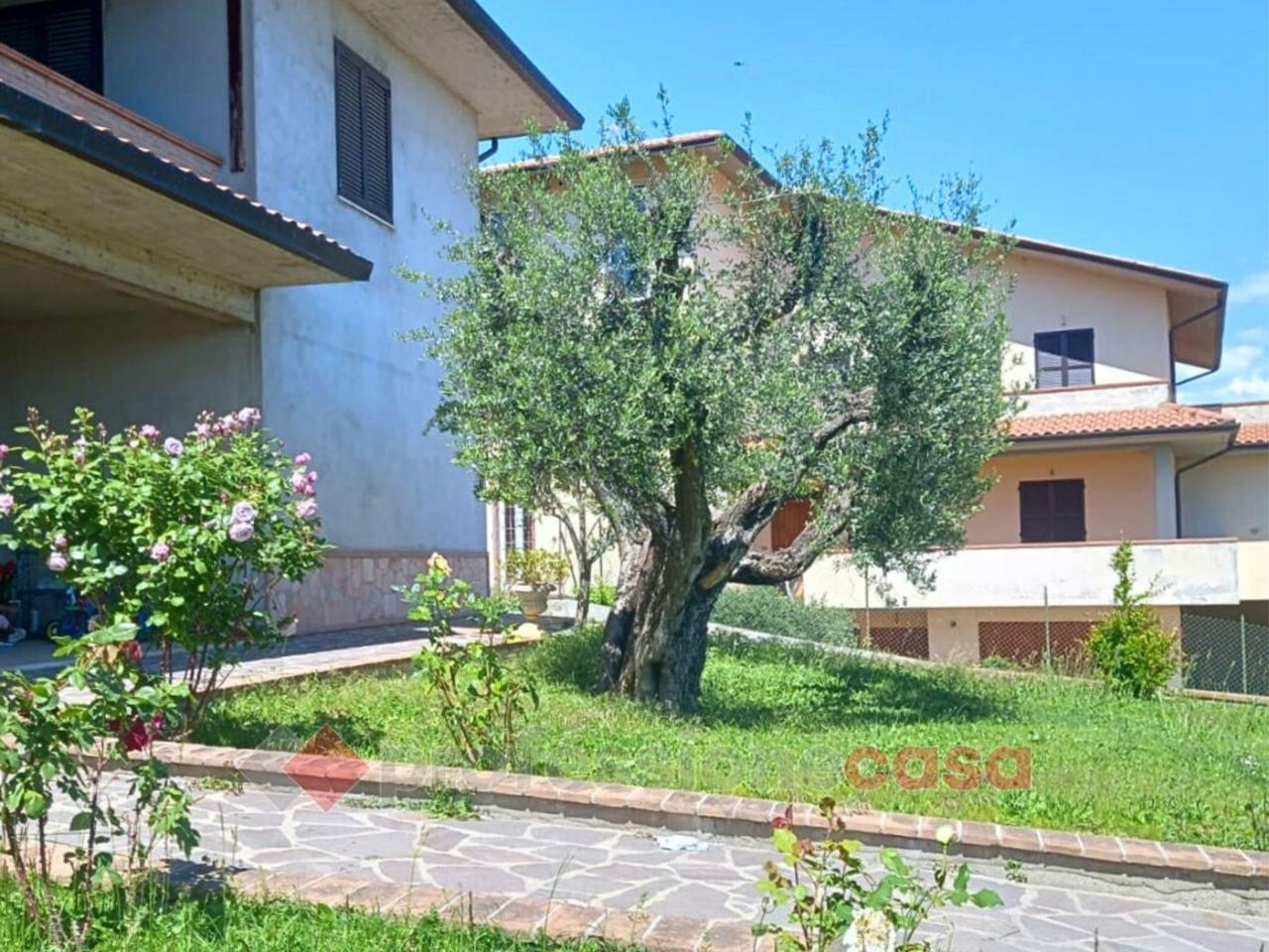 immagine annuncio 11 di 13