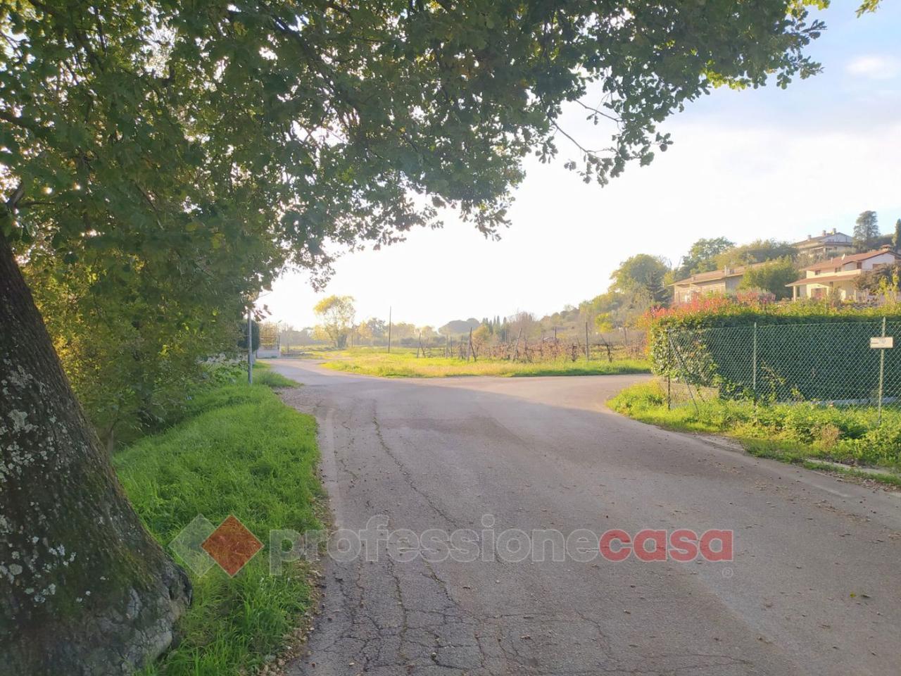 immagine annuncio 8 di 11