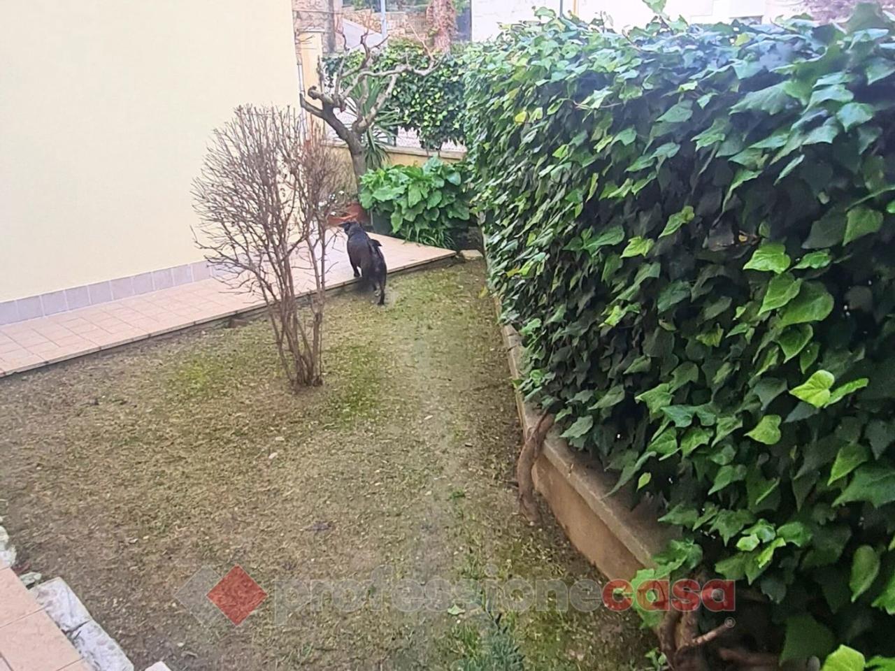 immagine annuncio 10 di 12
