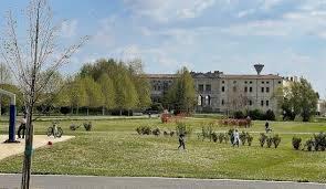 immagine annuncio 5 di 13