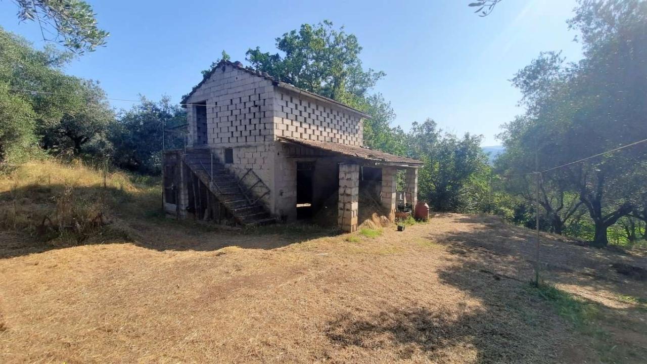 Terreno edificabile misto in vendita a Monte San Giovanni Campano