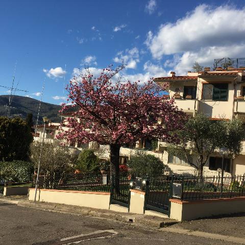 Apartament in Via dei Biancospini, Bagno a Ripoli - Photo 1