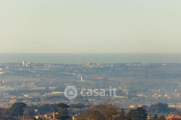 immagine annuncio 10 di 14