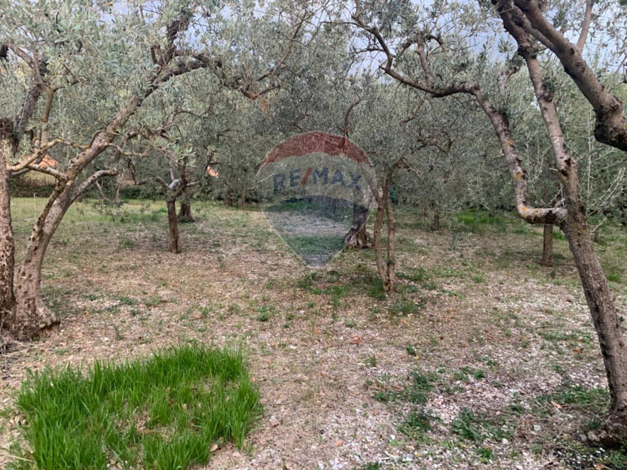 Terreno edificabile in vendita a Assisi