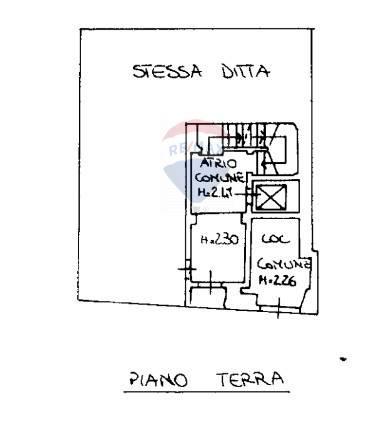 immagine annuncio 3 di 11