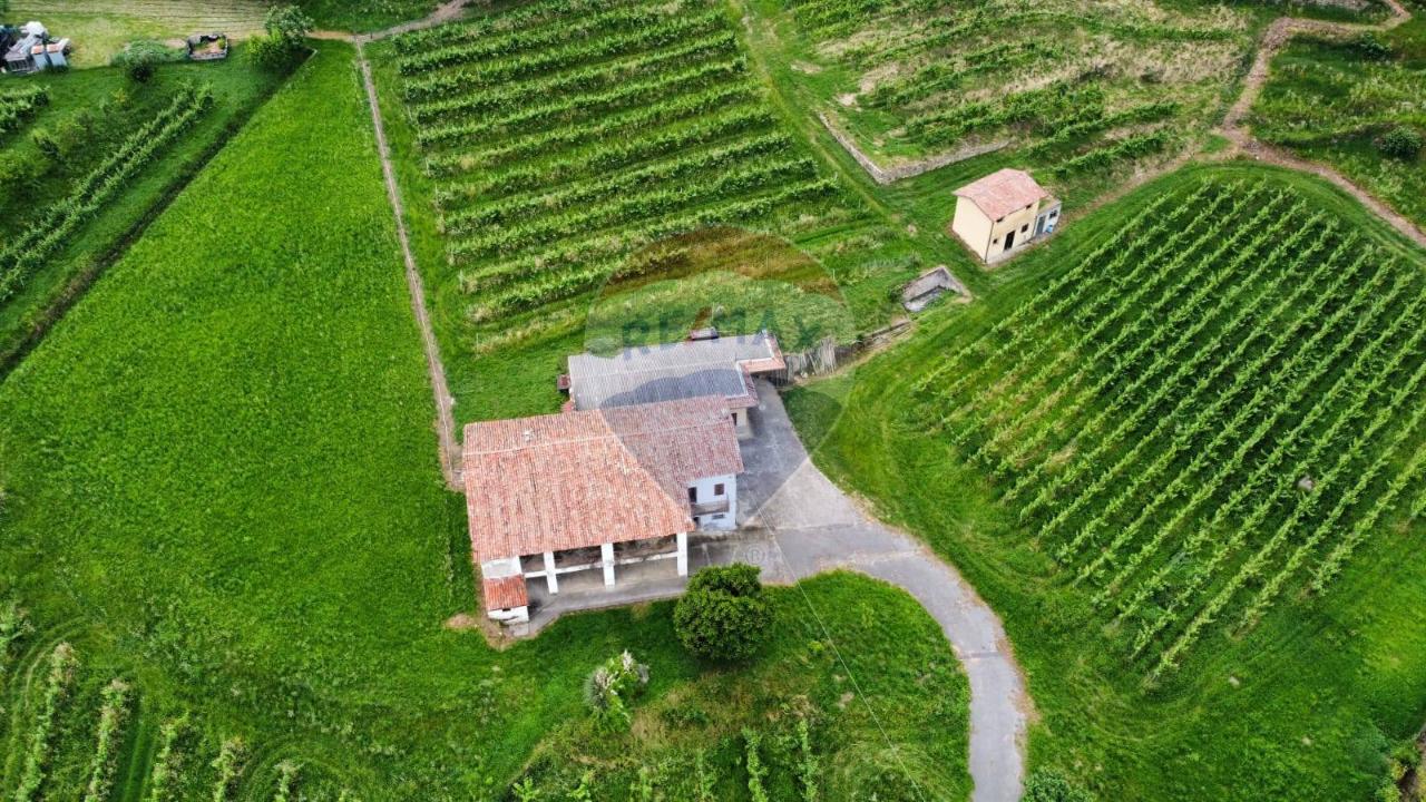 immagine annuncio 9 di 14