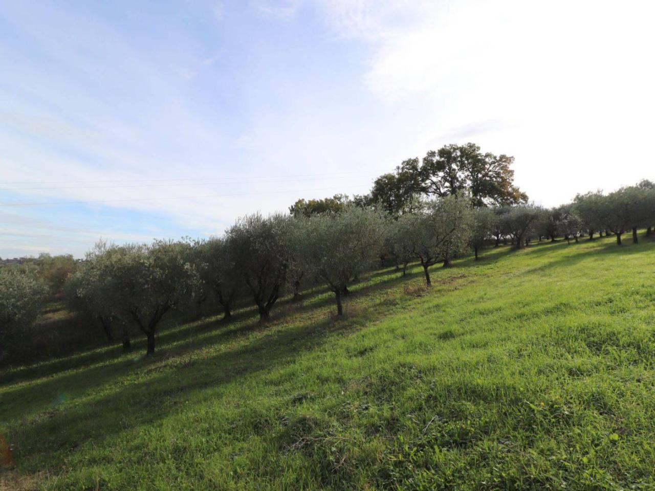 immagine annuncio 7 di 8