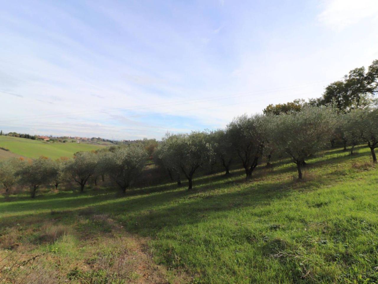 immagine annuncio 6 di 8