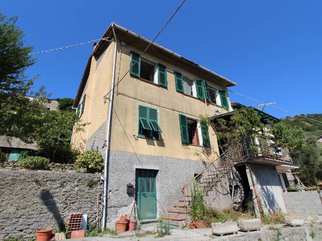 Detached house, Avegno - Photo 1