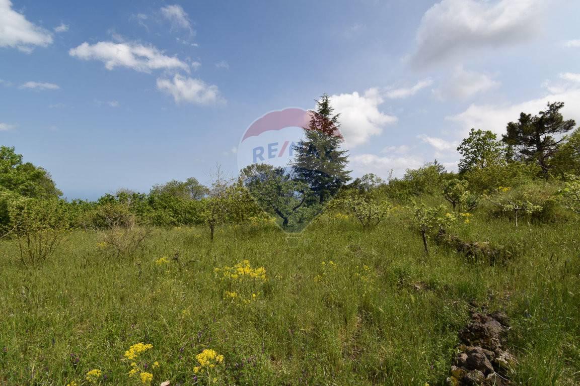 Terreno agricolo in vendita a Sant'Alfio