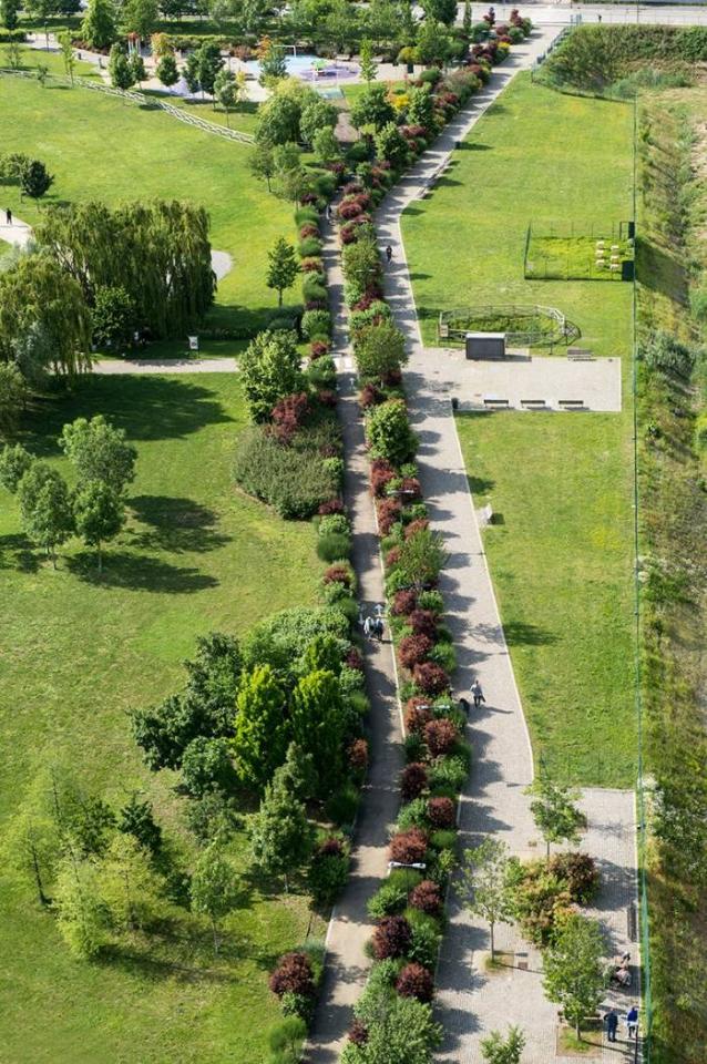 immagine annuncio 11 di 15