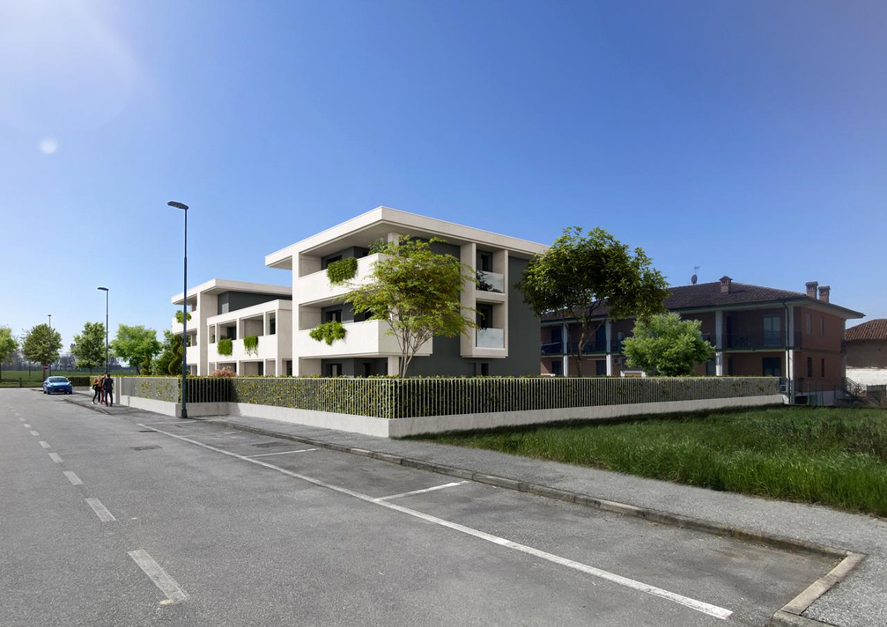 immagine annuncio 5 di 11