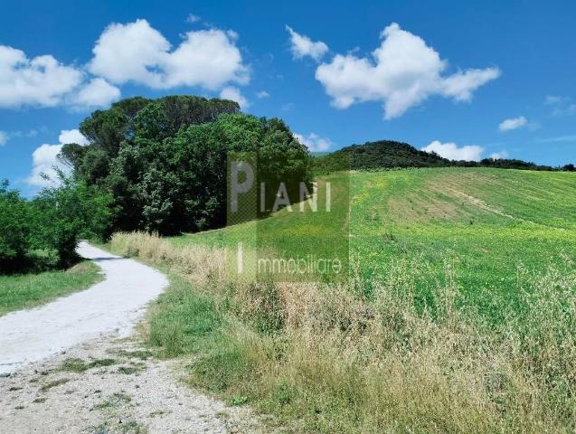 Country house or cottage, Collesalvetti - Photo 1