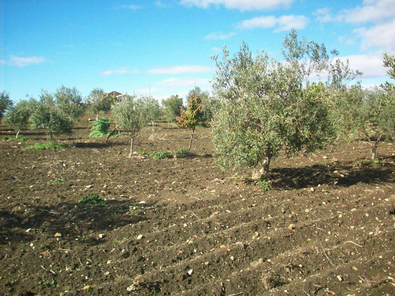 Magazzino in Via, Agrigento - Foto 1