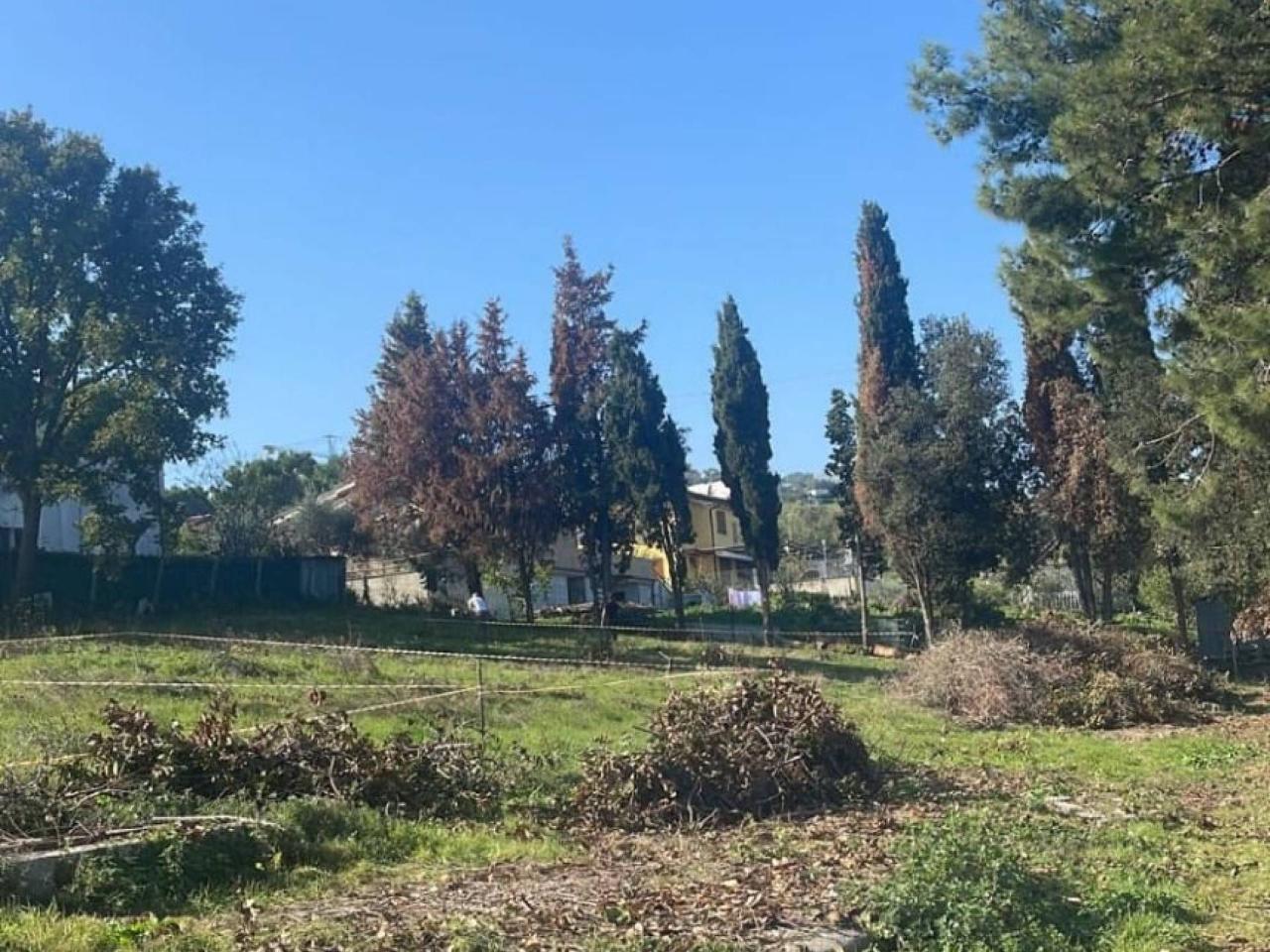 immagine annuncio 2 di 3