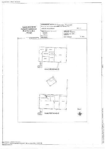 main planimetry real estate image