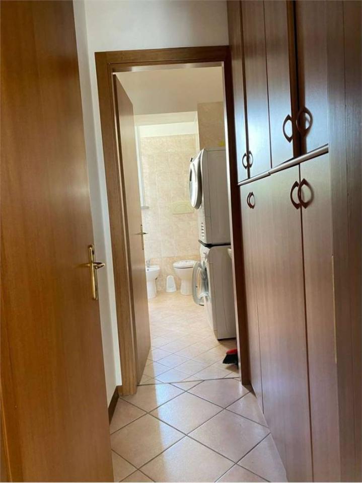 immagine annuncio 6 di 14