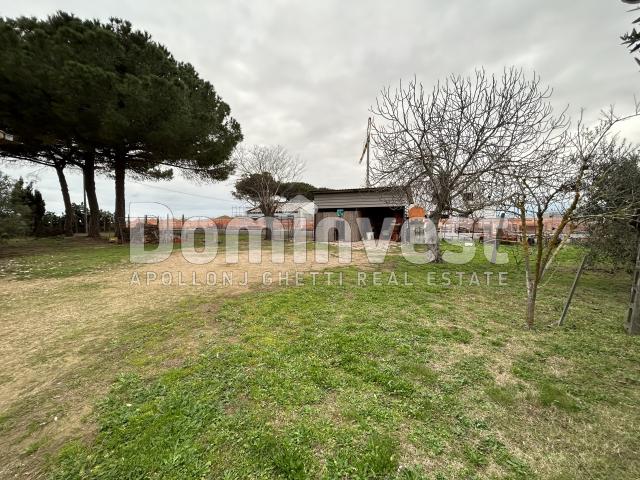 Homestead in Strada dell'Origlio, Capalbio - Photo 1