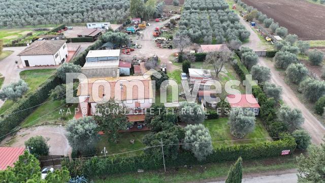 Homestead in Località Torre Palazzi, Capalbio - Photo 1