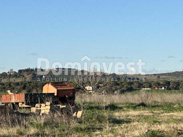 Homestead in {3}, Strada Tavolaro - Photo 1