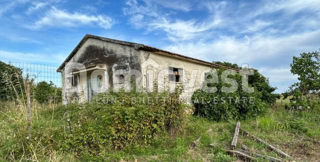 Homestead in Centro F, Capalbio - Photo 1