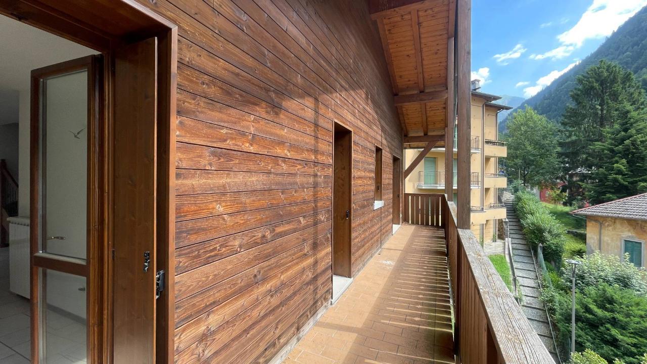 immagine annuncio 1 di 12