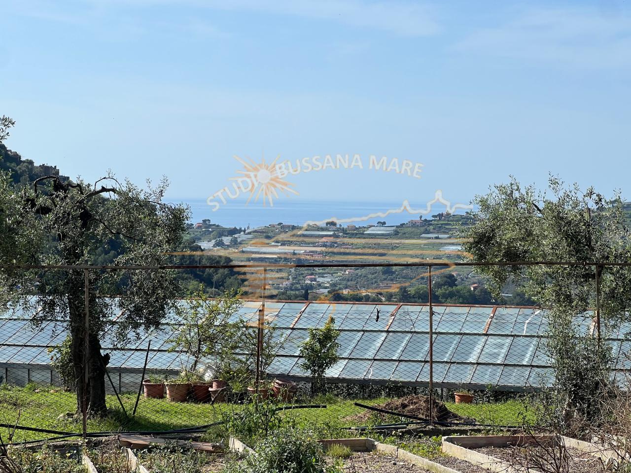 Terreno agricolo in vendita a Sanremo