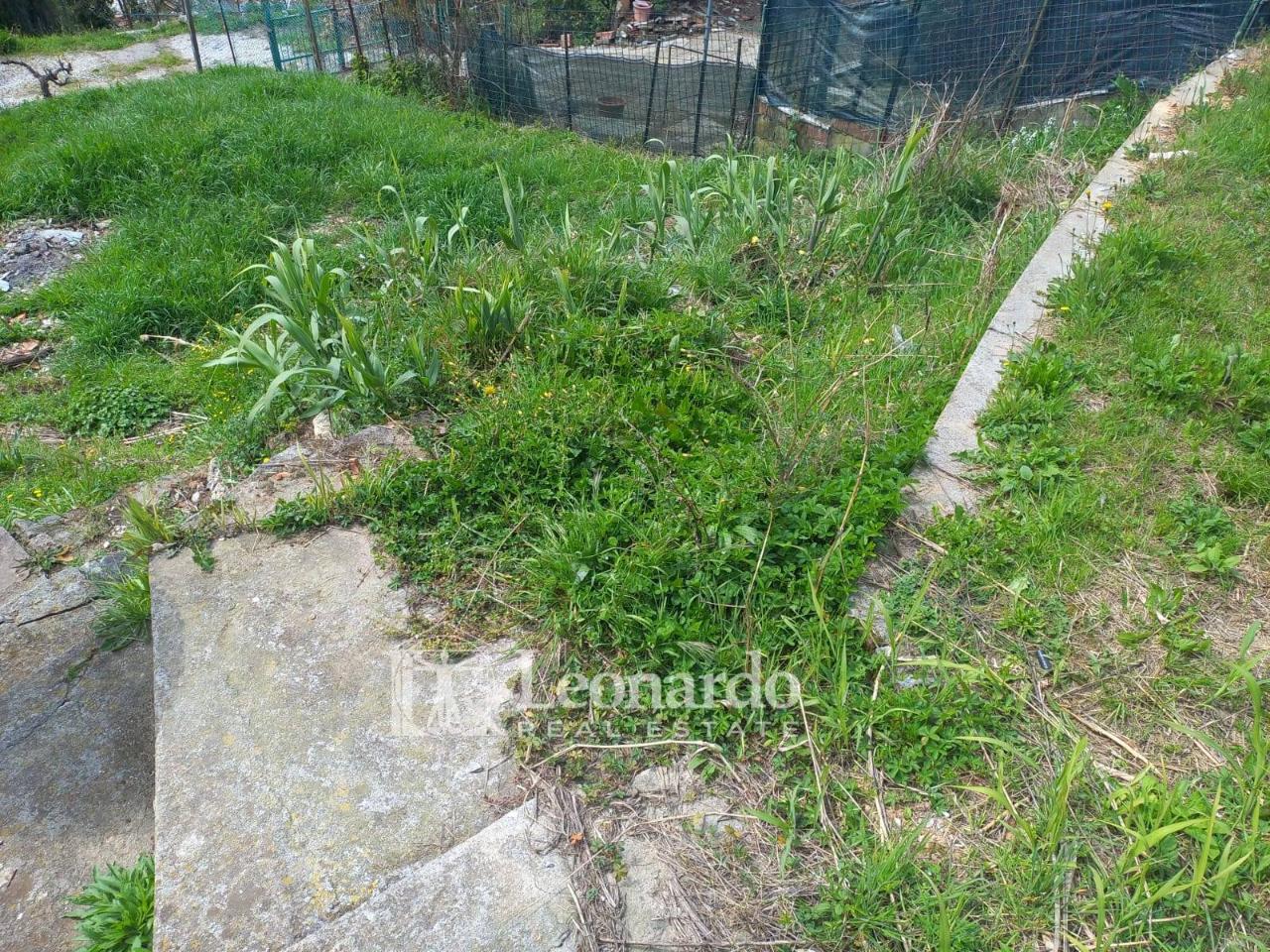 immagine annuncio 13 di 14