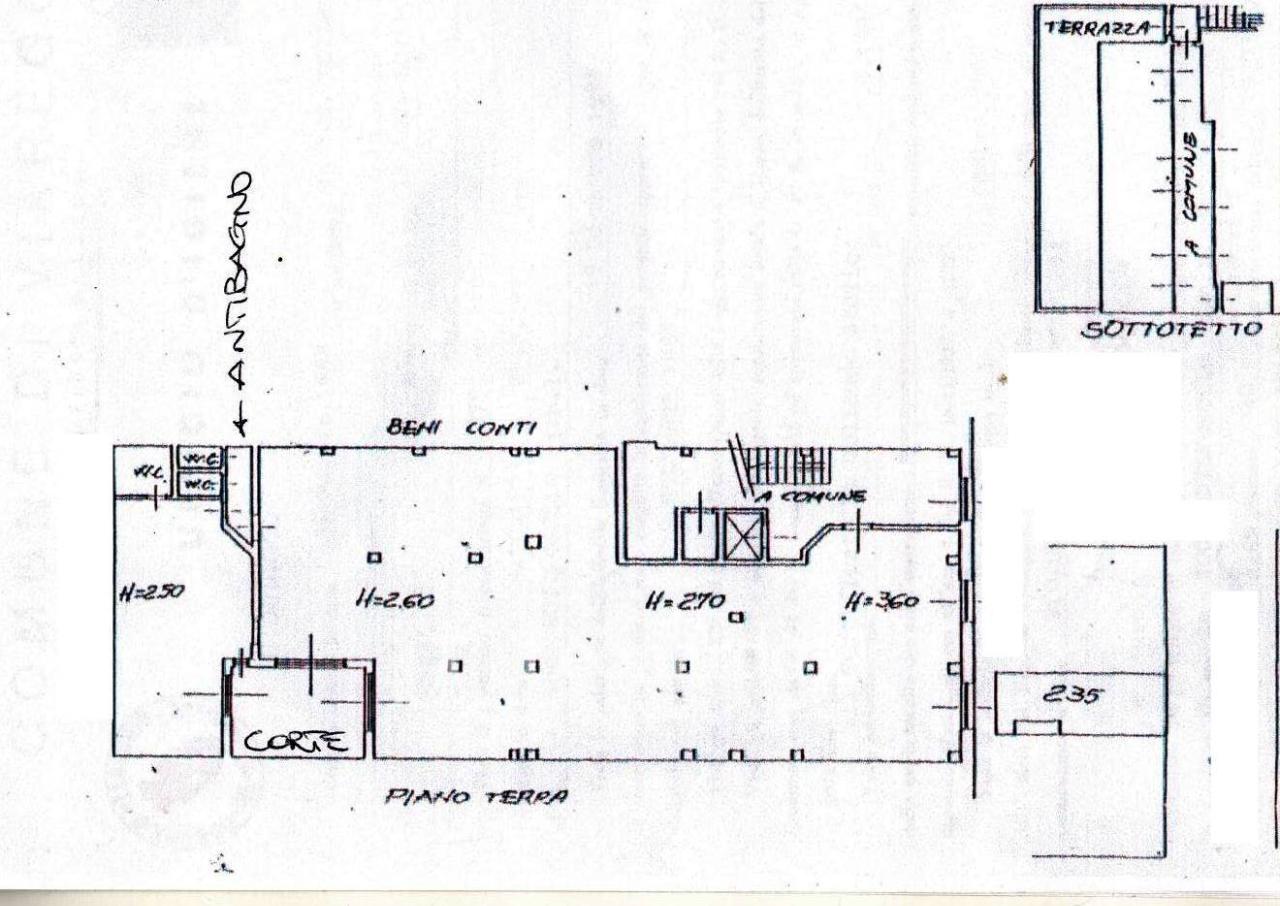 Negozio in Piazza Azeglio, Viareggio, {3} - Planimetria 1