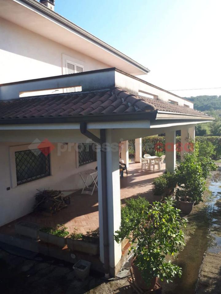 immagine annuncio 3 di 11