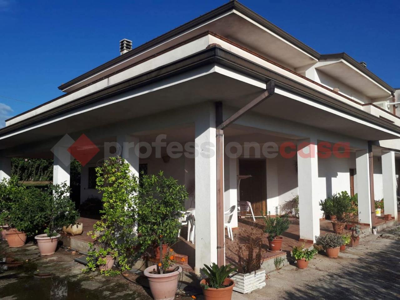 immagine annuncio 4 di 11