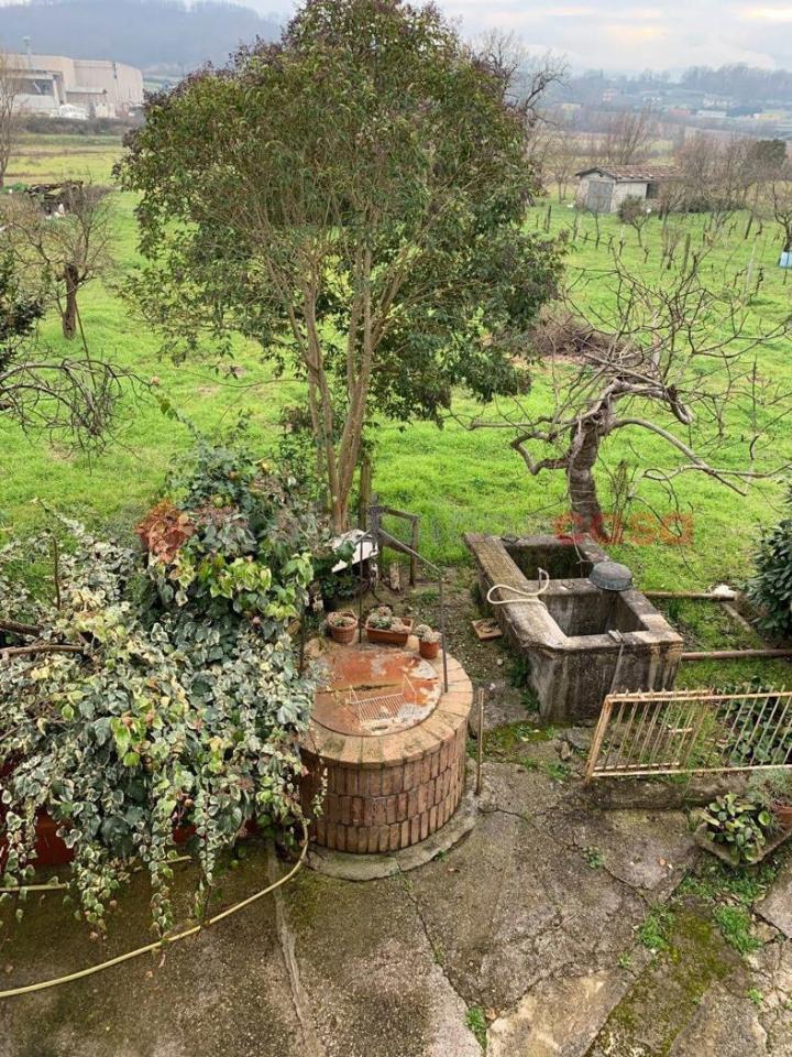 immagine annuncio 6 di 9