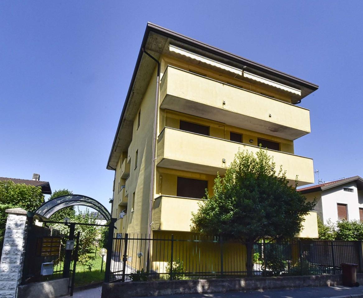 immagine annuncio 1 di 14