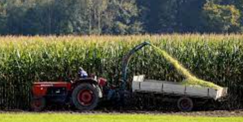 Azienda agricola, Bologna - Planimetria 1