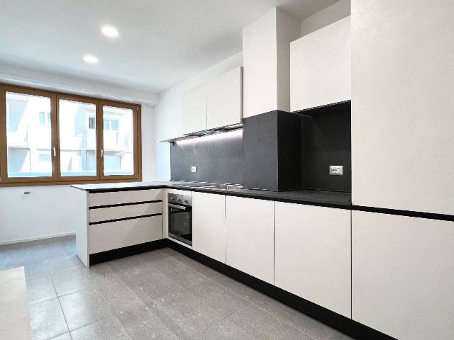 2-room flat in Piazzale Giovanni Bertacchi, Sondrio - Photo 1