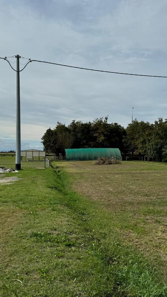 immagine annuncio 3 di 6