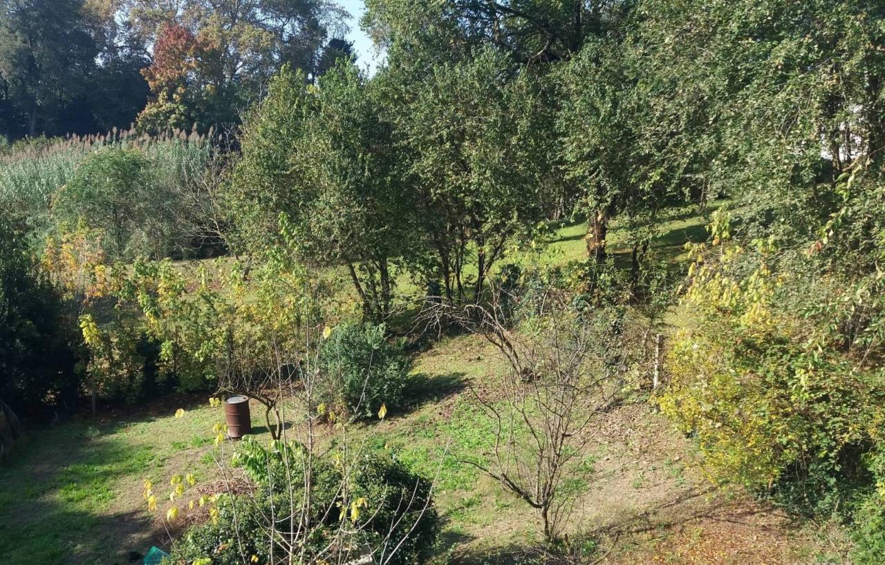 immagine annuncio 12 di 14