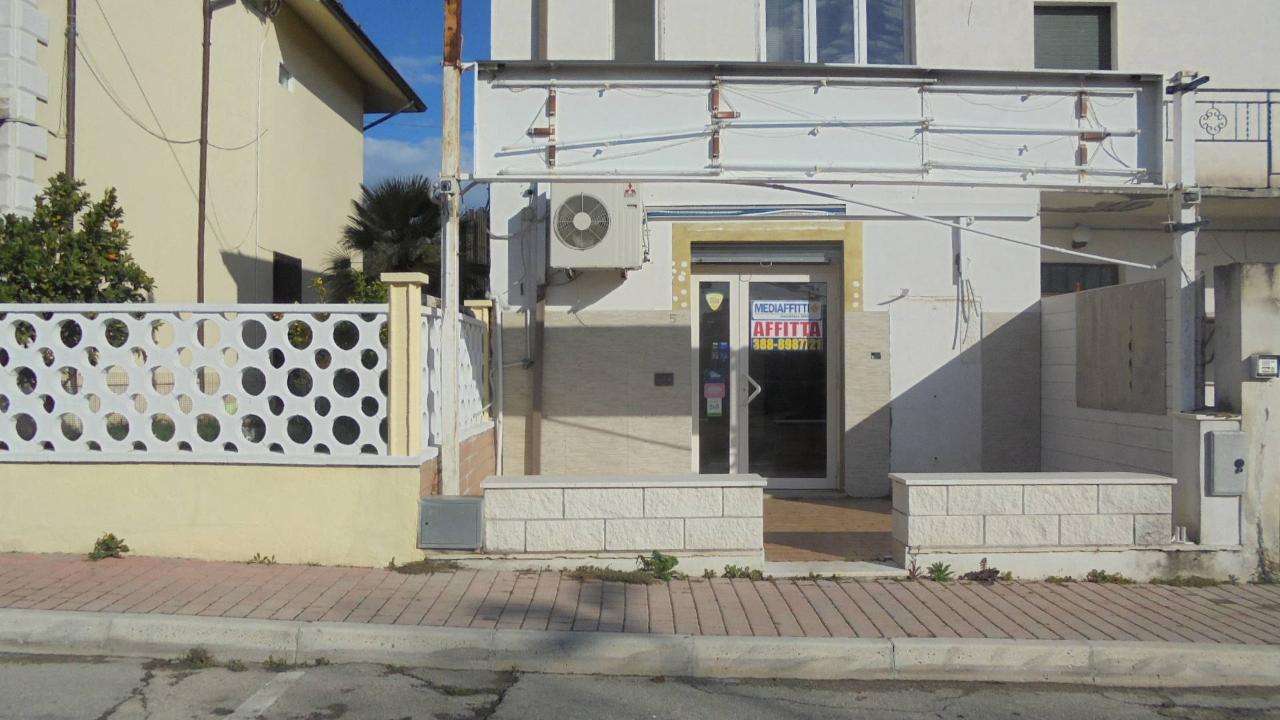 Esercizio commerciale in , Cepagatti, {3} - Foto 2