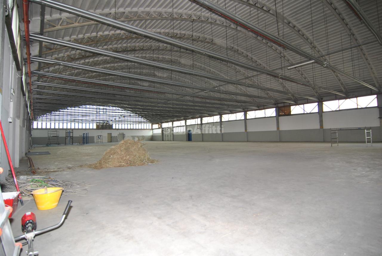 Capannone in , Collesalvetti, {3} - Foto 2