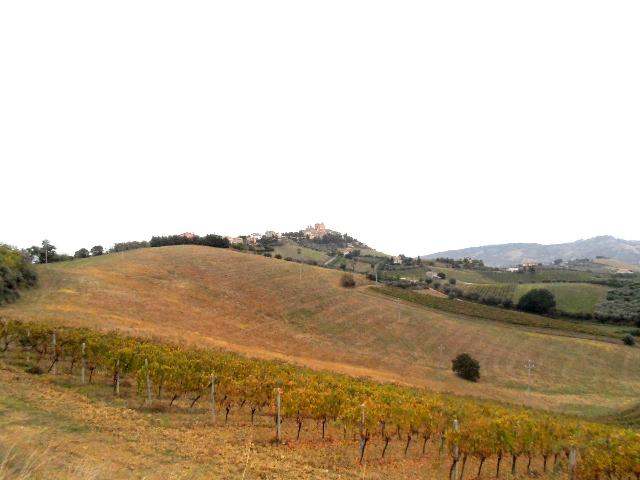 Agricultural land in {3}, Contrada Colle Appeso - Photo 1