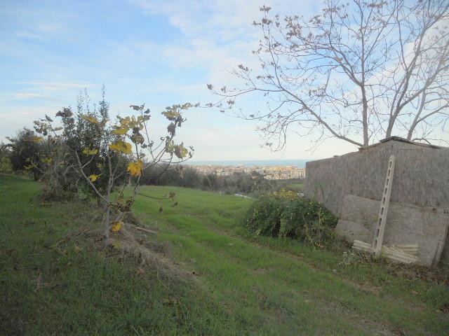 immagine annuncio 7 di 13