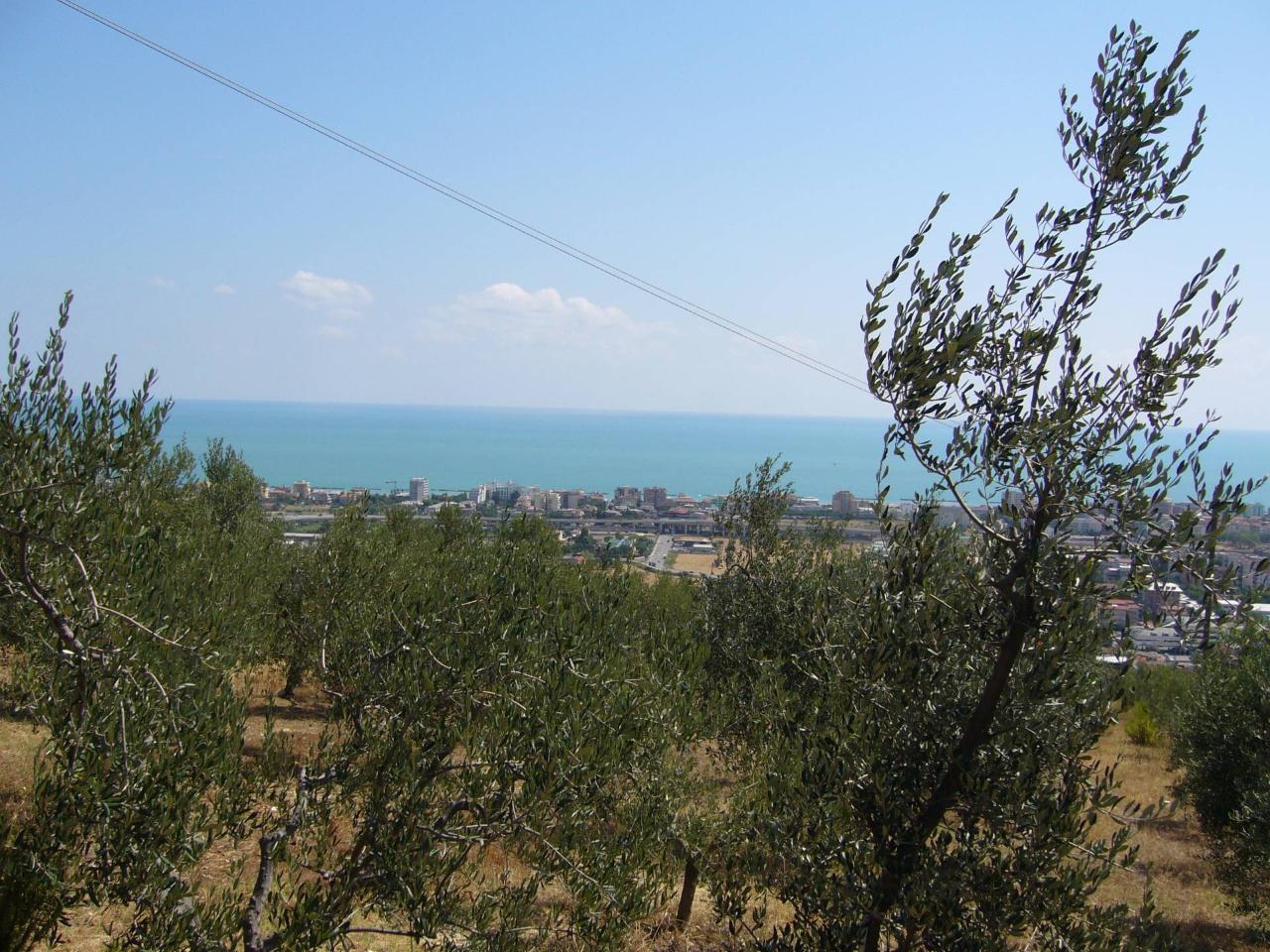 immagine annuncio 6 di 7