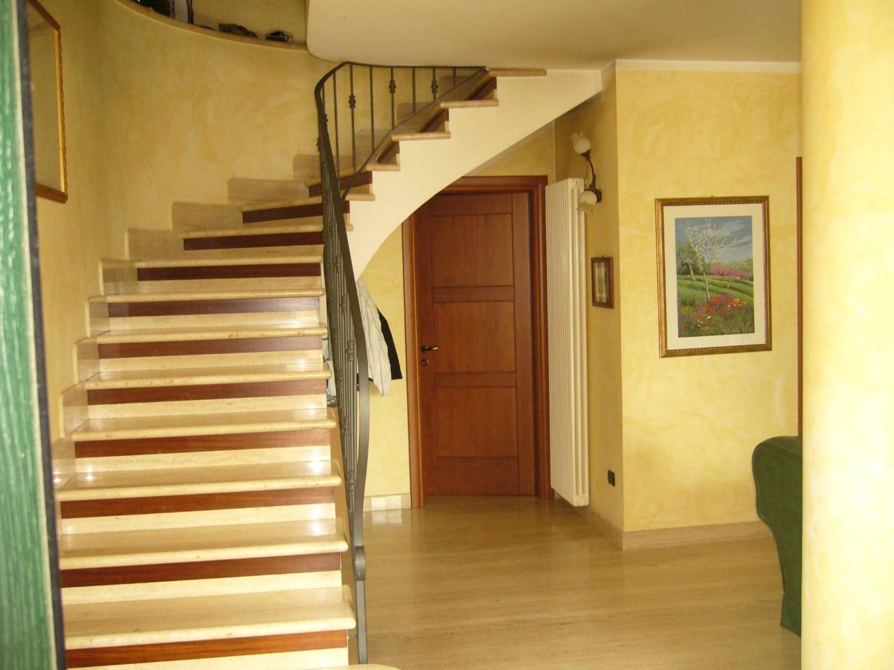 immagine annuncio 4 di 14