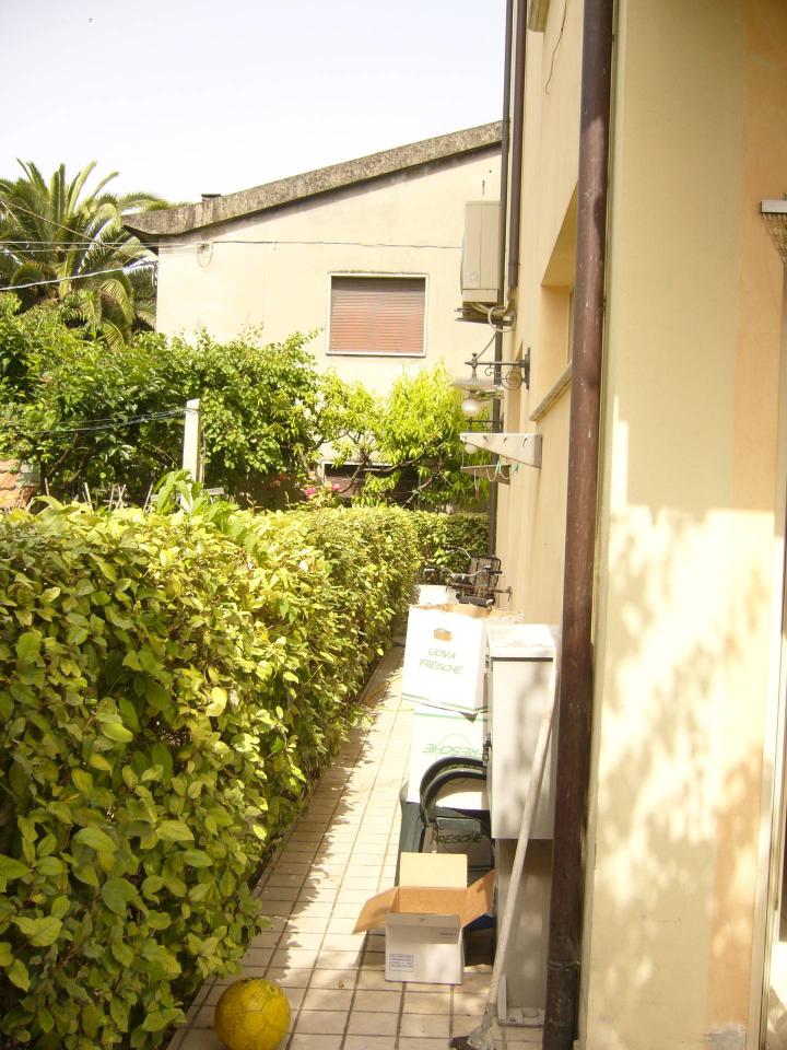 immagine annuncio 12 di 14